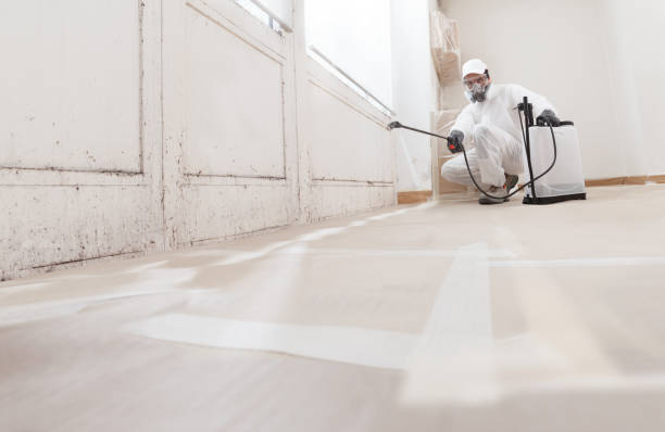 24/7 Emergency Black Mold Remediation experts in Augusta, GA