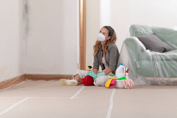 Reliable Black Mold Remediation contractor in Augusta, GA by 24 Hour Mold Removal